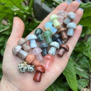 5pc Crystal Mushrooms